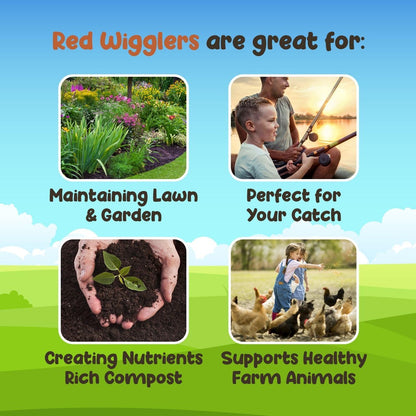 Red Wigglers Composting Worms - 1/4lb Red Worms for Composting Bin, for Plants or Gardening