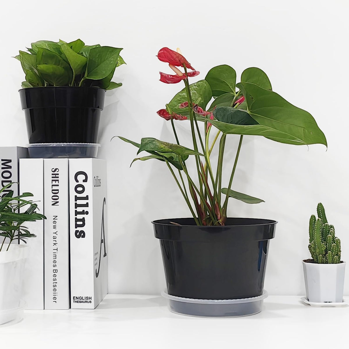 12 Pack Plant Pots, 8 Inch Plant Planter with Clear Saucer, Plastic Pots for Plants Indoor and Out