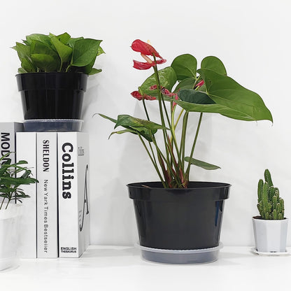 12 Pack Plant Pots, 8 Inch Plant Planter with Clear Saucer, Plastic Pots for Plants Indoor and Out