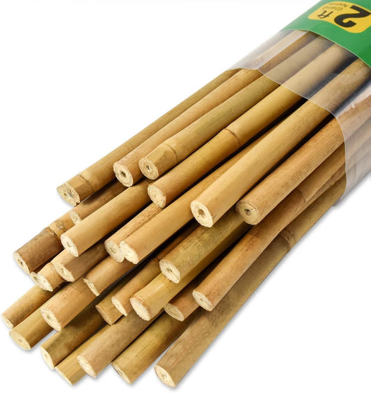 30pcs 3/10" D Thicker Heavy Duty Bamboo Stakes, 2FT Plant Stakes, Natural Garden Stakes for Tomato