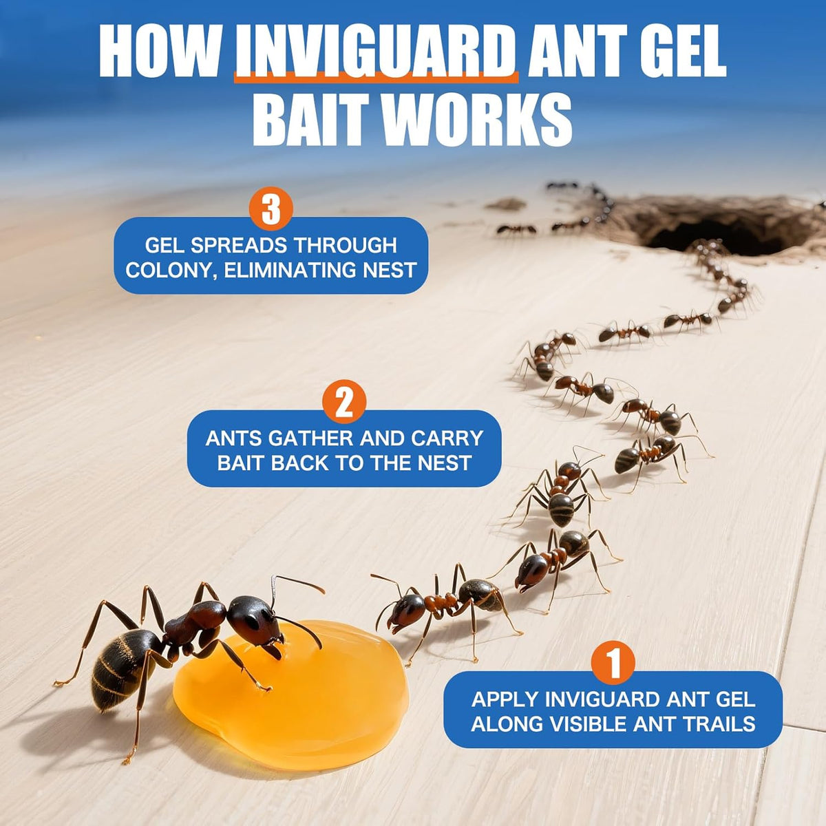 Ant Gel Bait, 3Tubes x 10-Grams, Indoor and Outdoor Use, Killer Gel for Control of Most Major Ant