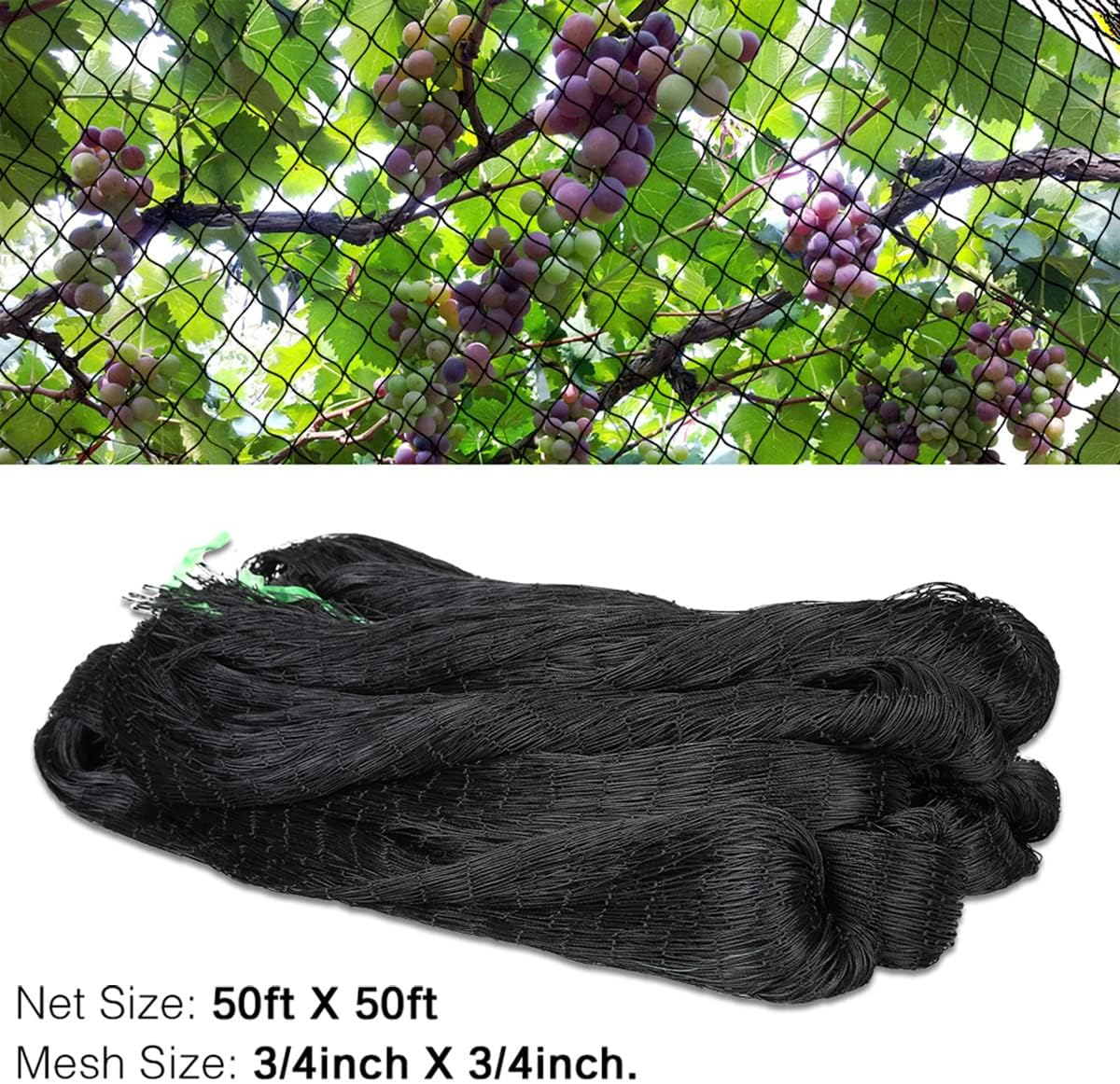 OGORI 50' x 50' Bird Netting Heavy Duty Nylon 3/4" Mesh Garden Netting Protect Fruit Trees, Plants
