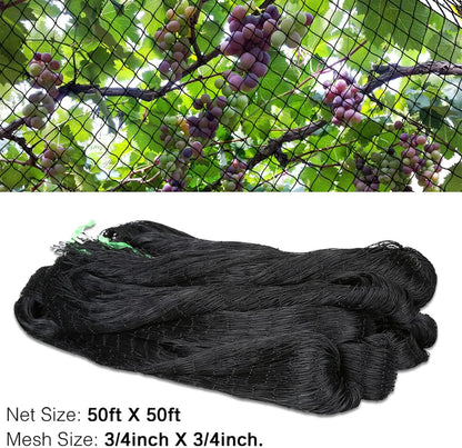 OGORI 50' x 50' Bird Netting Heavy Duty Nylon 3/4" Mesh Garden Netting Protect Fruit Trees, Plants