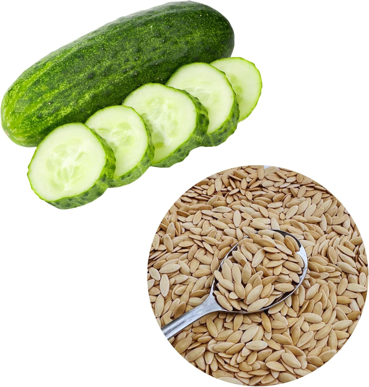 Over 150 Pickling Cucumber Seeds – Organic Heirloom, Non-GMO, High Germination Rate – Perfect for