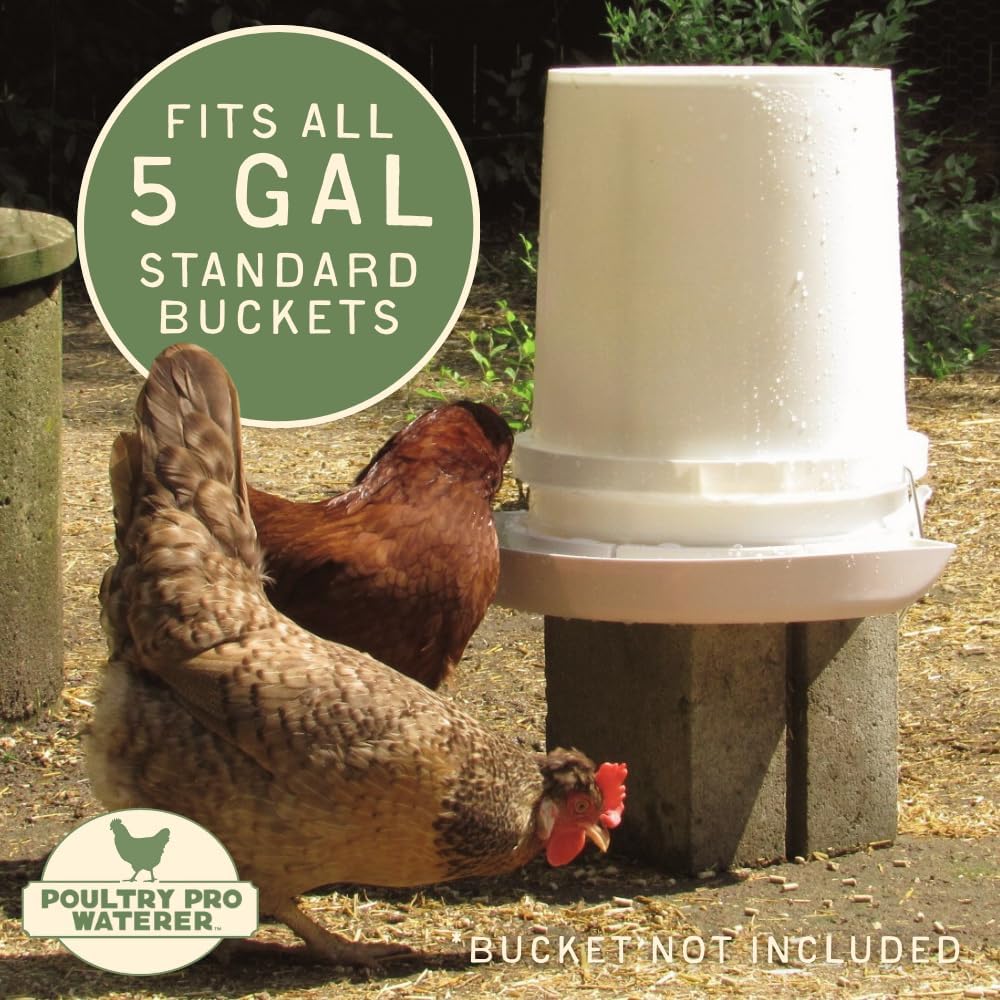 DIY Port PVC Gravity Fed Chicken Feeder 3 Ports and Hole Saw | Use for Buckets, Barrels, Bins