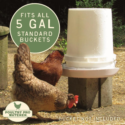 DIY Port PVC Gravity Fed Chicken Feeder 3 Ports and Hole Saw | Use for Buckets, Barrels, Bins
