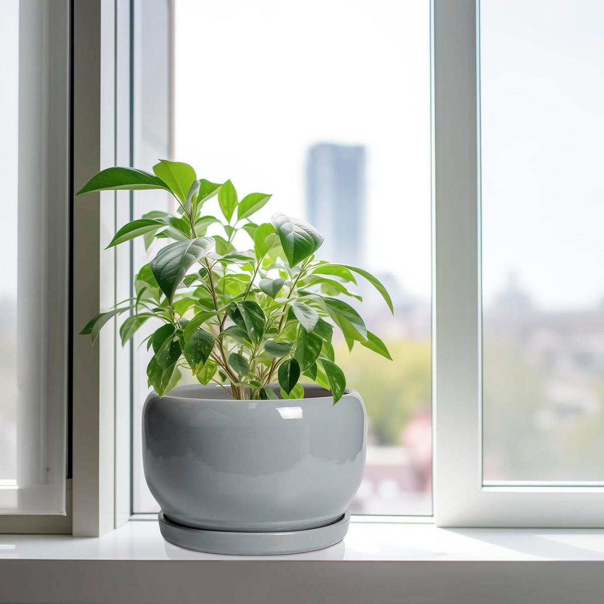 SQOWL 10 Inch Plant Pot - Ceramic Planter for Indoor Plants, Round Ceramic Flower Pot with Drainage