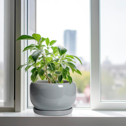 SQOWL 10 Inch Plant Pot - Ceramic Planter for Indoor Plants, Round Ceramic Flower Pot with Drainage