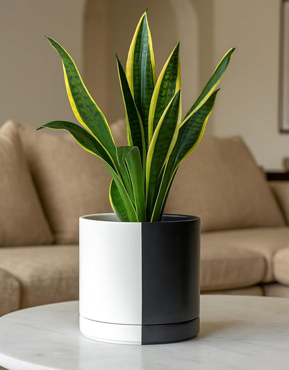 D'vine Dev 8.2 Inch Ceramic Planter Pot with Drainage Hole and Saucer, Indoor Cylinder Round