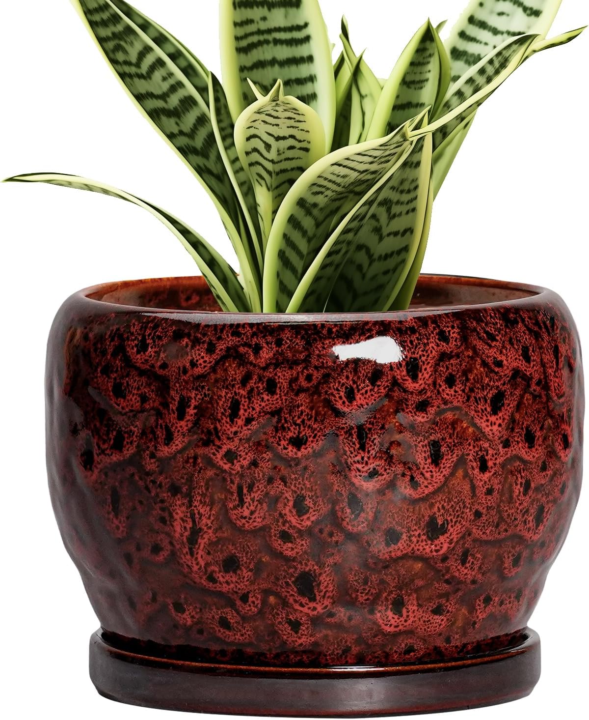 SQOWL Ceramic Pot for Plants - 6 Inch Plant Pot Indoor with Drainage Hole and Saucer, Decorative
