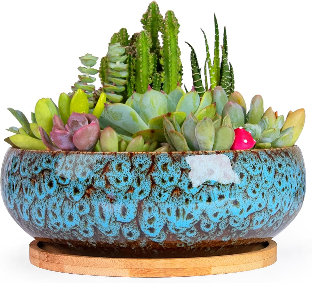 ARTKETTY Succulent Pots - 7.5 Inch Large Plant Pot with Bamboo Tray, Shallow Bonsai Pots with