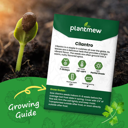 Cilantro Seeds 1 Pack
