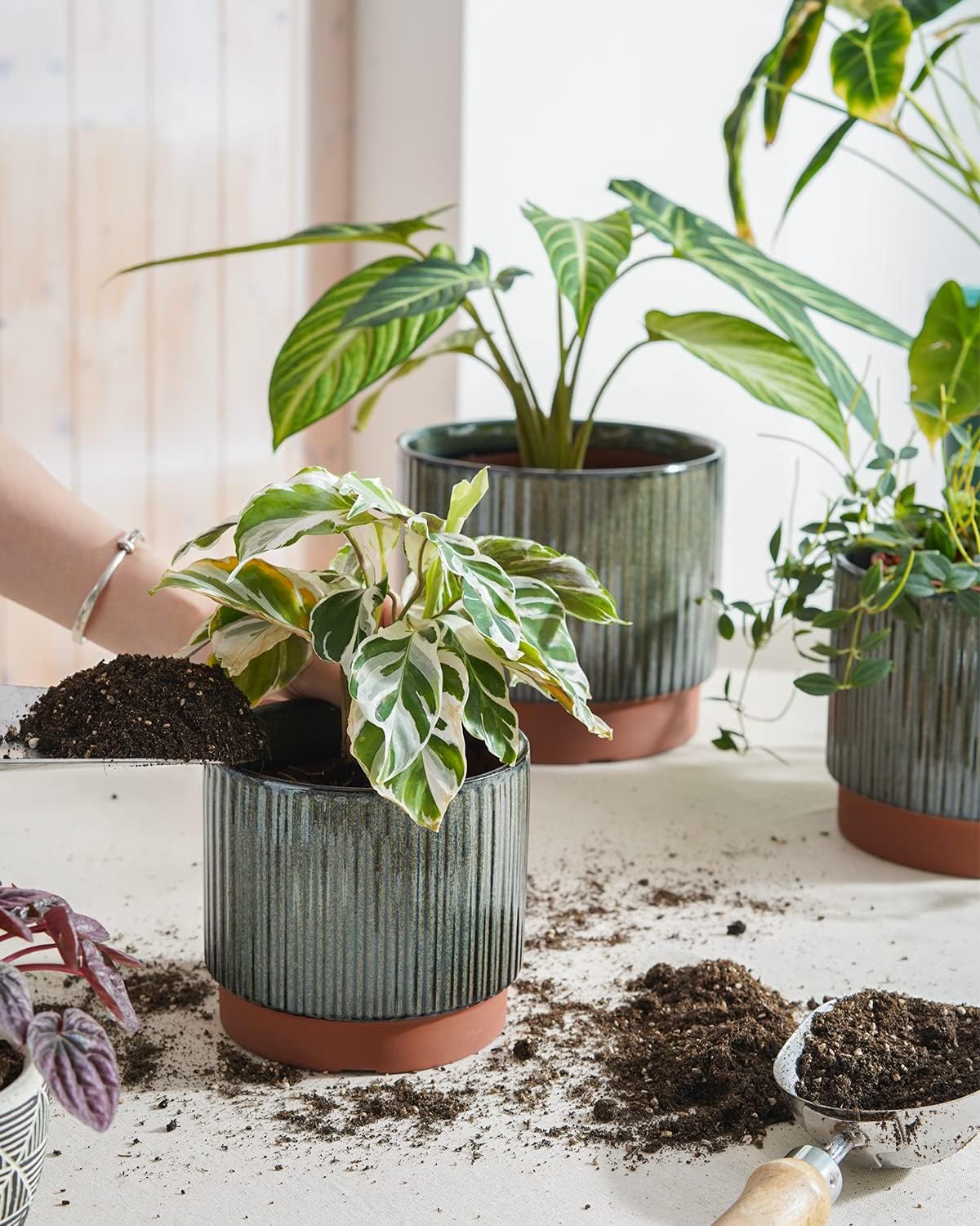 LE TAUCI Ceramic Plant Pots with Drainage Holes, Set of 3, 8+6.7+5.5 Inch Stripe Garden Planter