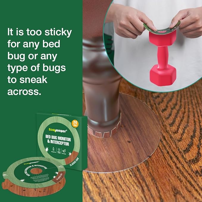 EcoVenger Bed Bug Monitor & Interceptor Super Glue Traps 48 Ct, Discreet Floor Color Classic Oak