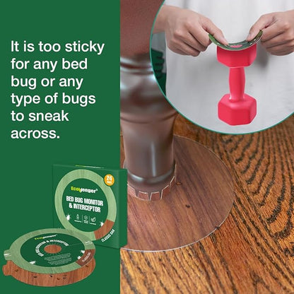 EcoVenger Bed Bug Monitor & Interceptor Super Glue Traps 48 Ct, Discreet Floor Color Classic Oak