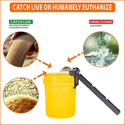 Walk The Plank Bucket Mouse Trap for Rats and Mice – Reusable No-Kill Humane Rodent Trap, Fits 5