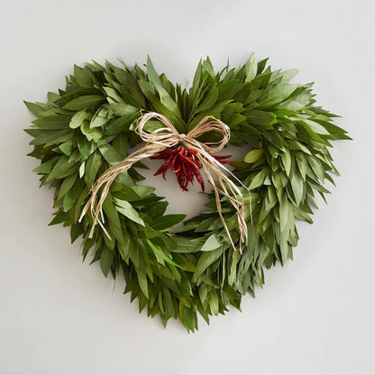 Mediterranean Bay Leaf, Bay Laurel Live Plant. Saratoga Variety - Laurus Nobilis. Live Plant.