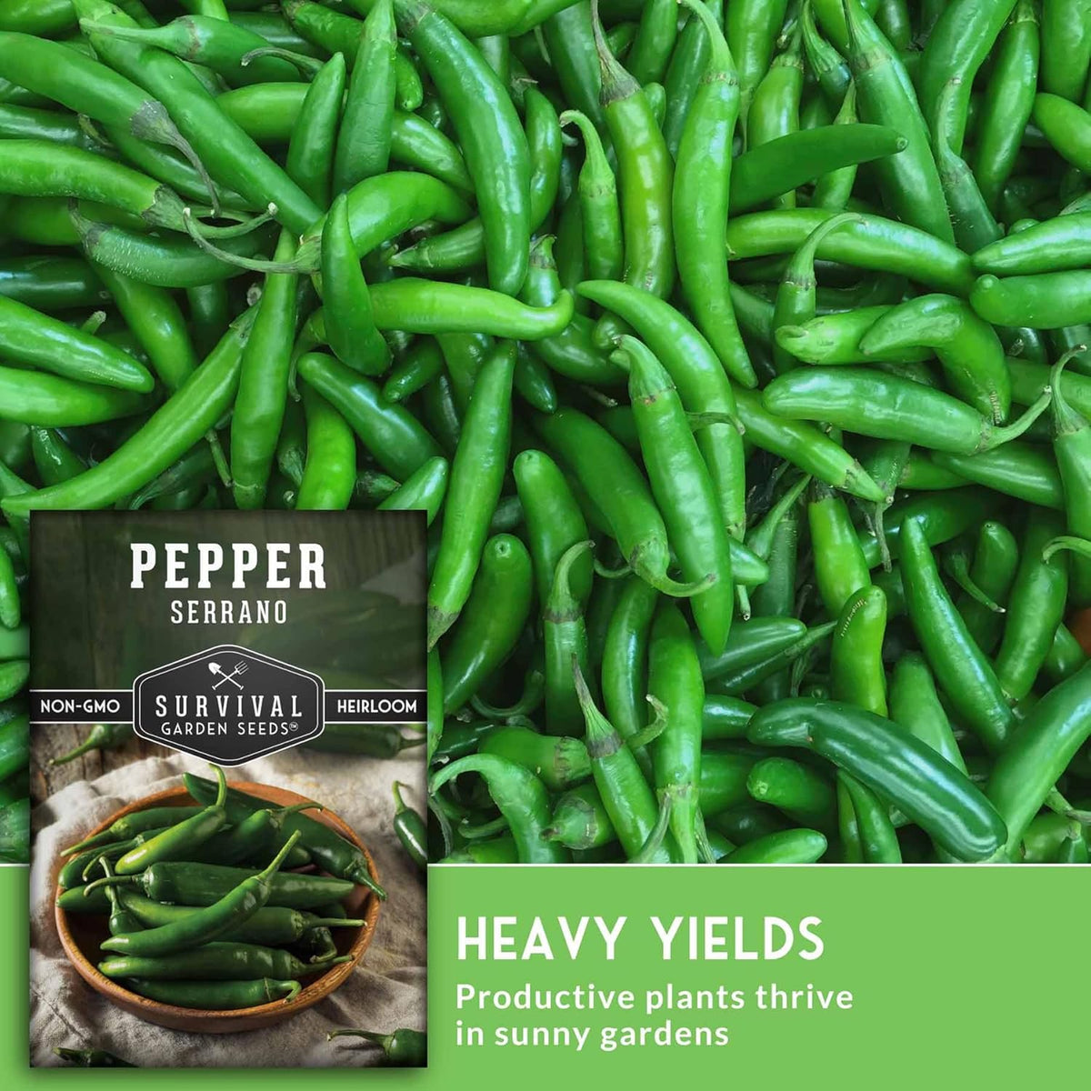 Mexican Serrano Pepper Seeds for Planting | Fresh Hot Chili & Green Hot Pepper Seeds – Heirloom