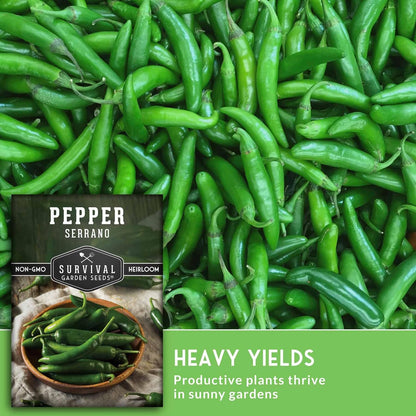 Mexican Serrano Pepper Seeds for Planting | Fresh Hot Chili & Green Hot Pepper Seeds – Heirloom