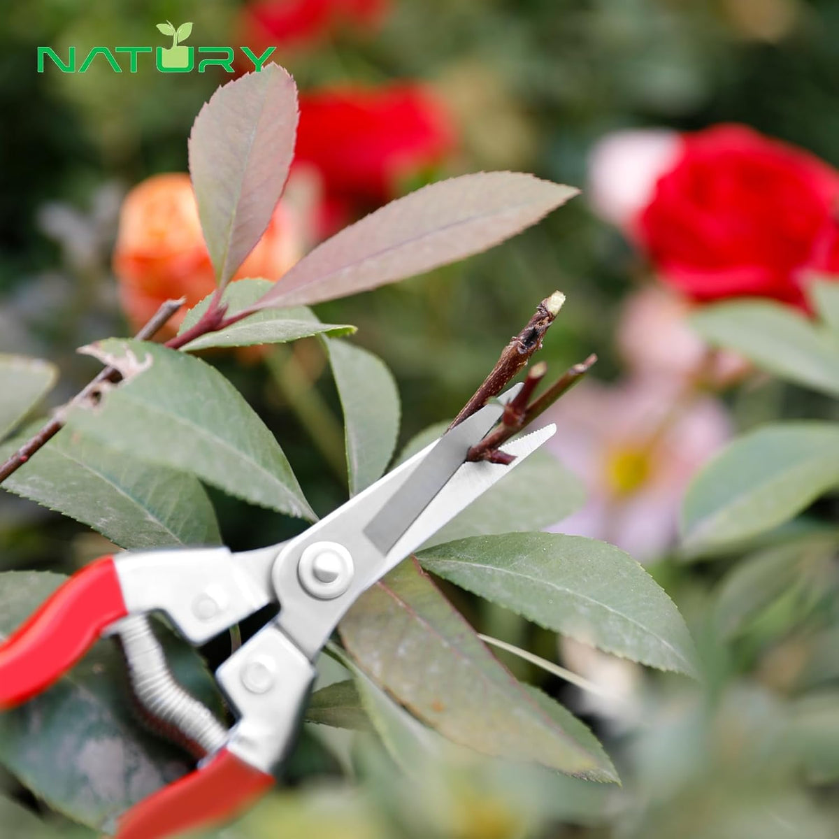 Bypass Pruning Shears Set with Garden Snips and Soil Moisture Meter – Premium Titanium Pruning