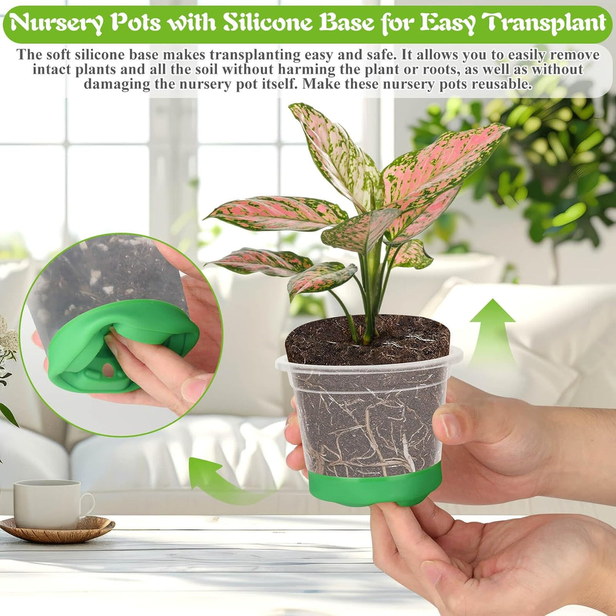 Caffox 55PCS Reusable Seed Starter Kit Includes 30 Packs 3.5" Clear Nursery Pots with Silicone