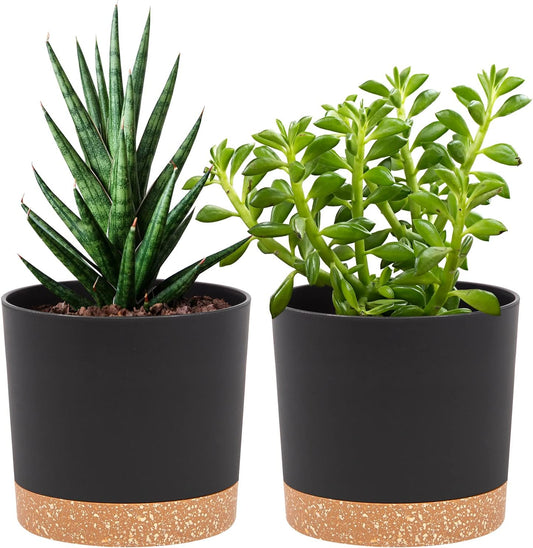 QCQHDU 5 inch Plant Pot, 2 Pack Planters for Indoor Plants with Drainage Holes & Saucer, Outdoor