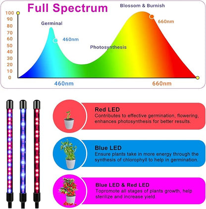 Grow Lights for Indoor Plants, Full Spectrum LED Plant Lamps with Clips and 3m Cables for Seeding