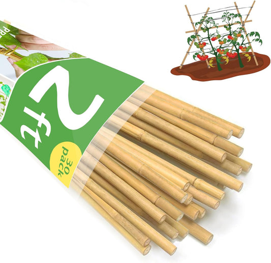 Bamboo Garden Stakes 2ft, 2 Feet Plant Stakes 30 Pack for Outdoor Indoor Plants, Support Tomato