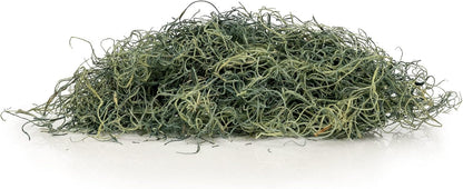 Premium Coconut Husk Chips and Fibers Mix for Orchids, Houseplant, Monstera and Fiddle Leaf Fig by