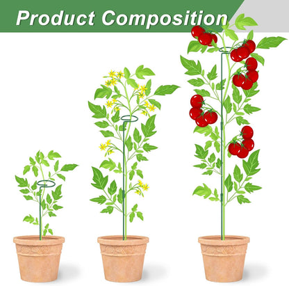 6 Pack (DIY) Plant Support Stakes, Three Sizes (12 or 24 or 36 inch) Plant Support Rings for