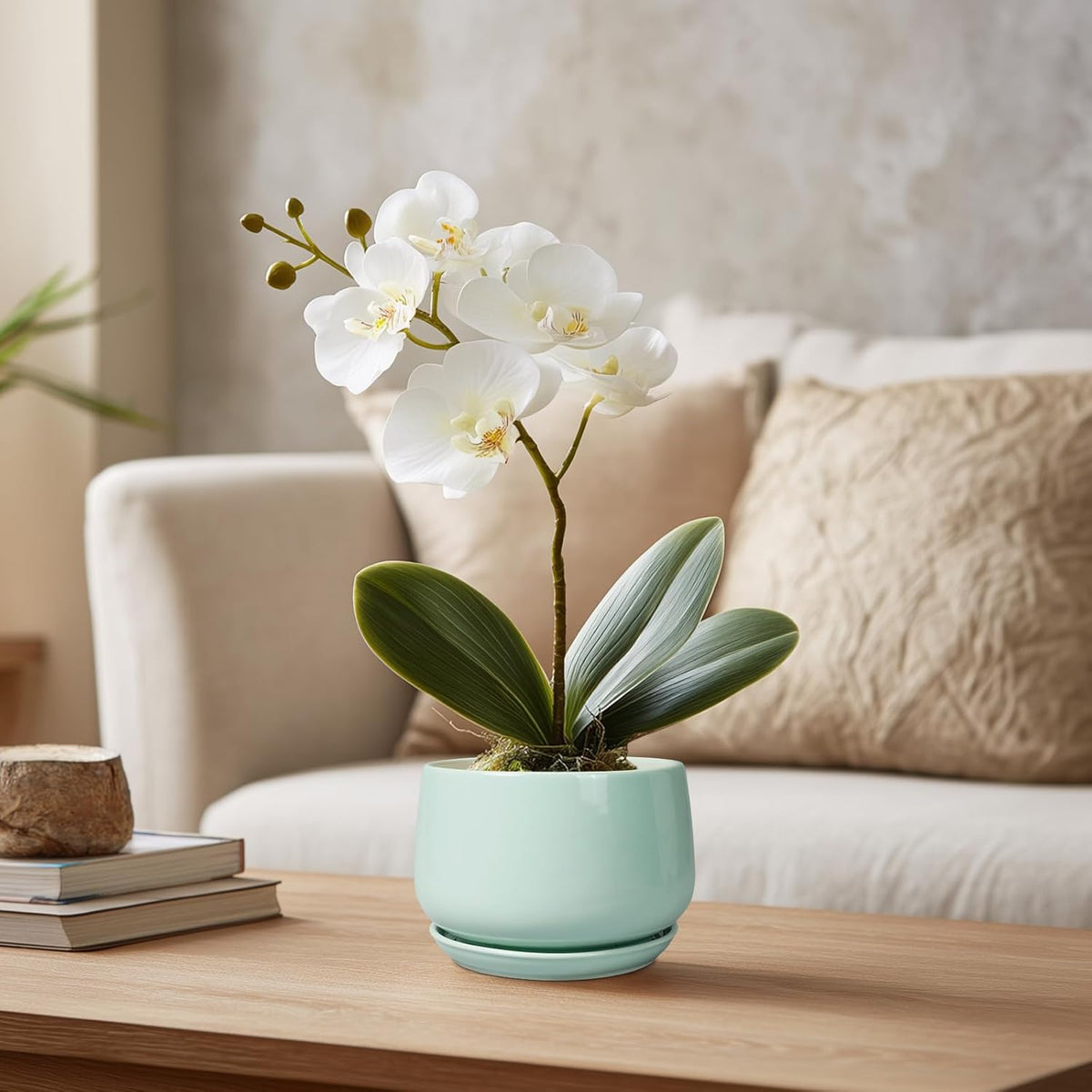 G EPGardening Ceramic Plants Pots - 4 inch Plant Pots Indoor Outdoor, Small Succulent Planter with