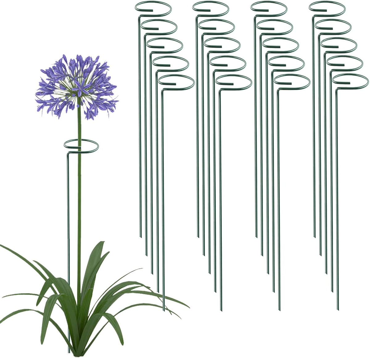18 Inch 20 Packs Plant Support Stake Garden Single stemmed Plant Support Hoops Plant Prop for