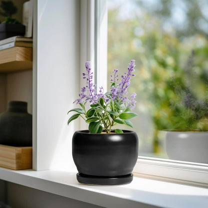 SQOWL Ceramic Plant Pot - 6 Inch Planter for Indoor Plants, Round Flower Pot with Drainage Hole and