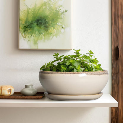 SQOWL Bonsai Pots 12 Inch - Large Ceramic Succulent Planters, Shallow Planter with Drainage Hole