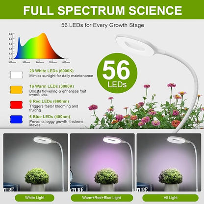 Full Spectrum Grow Lights for Indoor Plants, Clip On Plant Lights for Indoor Growing with 4/8/12H