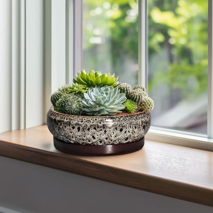 Succulent Pots 10 Inch - Ceramic Bonsai Pots with Drainage Hole and Tray, Large Succulent Planters
