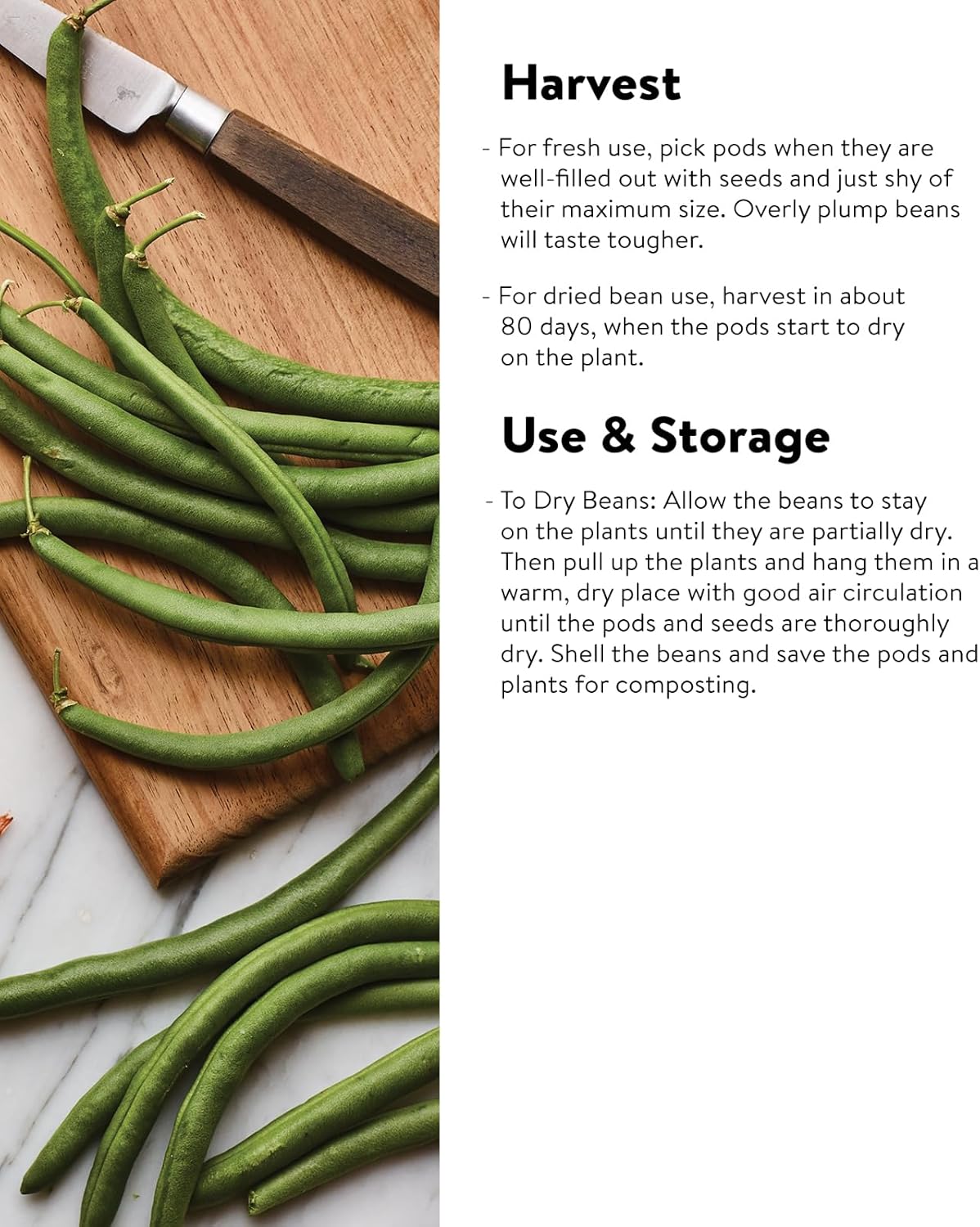 Burpee Kentucky Blue Pole Bean Seeds 8 ounces of seed
