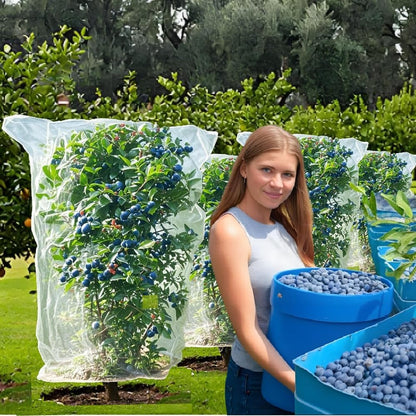 Bird Netting for Blueberry Bushes - Garden Netting Pest Barrier with Drawstring Tomato Protective