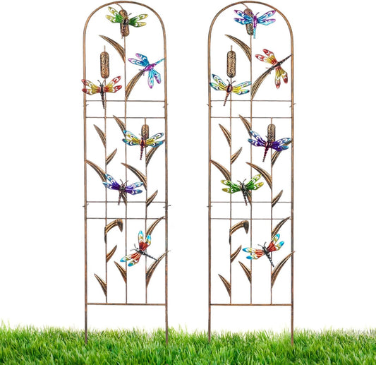 LEWIS&WAYNE 2 Pack Metal Garden Trellis with Colorful Dragonfly 60 Inch High Outdoor Decoration