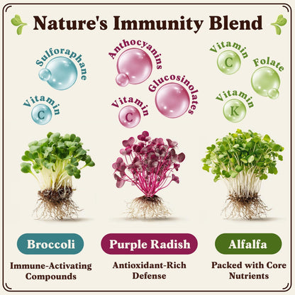 Seedboy Organic Non-GMO Sprouting Seeds, Immune System Booster - USA Grown Microgreens Mix with