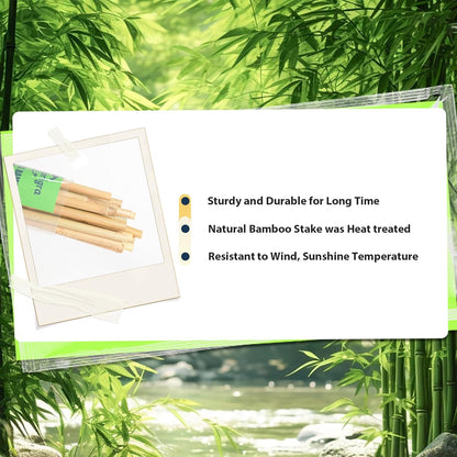 Bamboo Stakes 3 FT 30pcs, 36 inch Garden Stakes Multi-Purpose, Bamboo Plant Support Stakes for