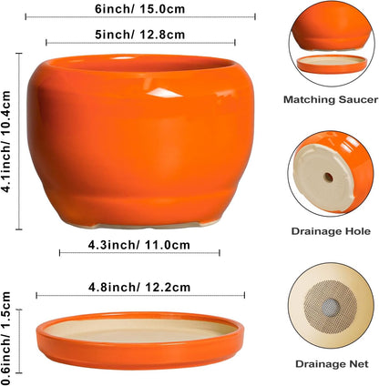 SQOWL Ceramic Plants Pots - 6 Inch Planter Indoor with Drainage Hole and Plant Saucer, Modern Round
