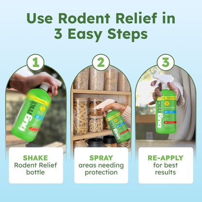 BugMD Peppermint Oil Spray for Rodents (2 Pack- 16oz) Mouse Repellent & Rodent Repellent Spray