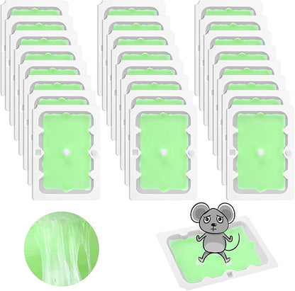 Qualirey 24 Pack Mouse Glue Trap, Super Sticky Traps Mouse Size for Mice and Rats, Pre-Scented, Non
