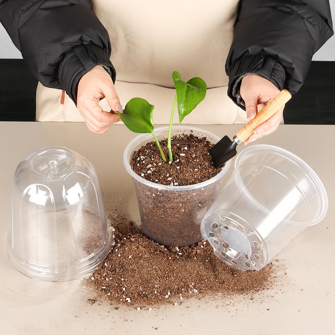 6 Inch Clear Nursery Pots with Humidity Dome, 15 Pack Durable Seed Starting Pot with Drainage