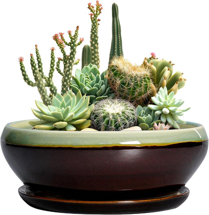 SQOWL Succulent Planters 10 Inch - Ceramic Bonsai Pots with Drainage Hole and Saucer, Shallow