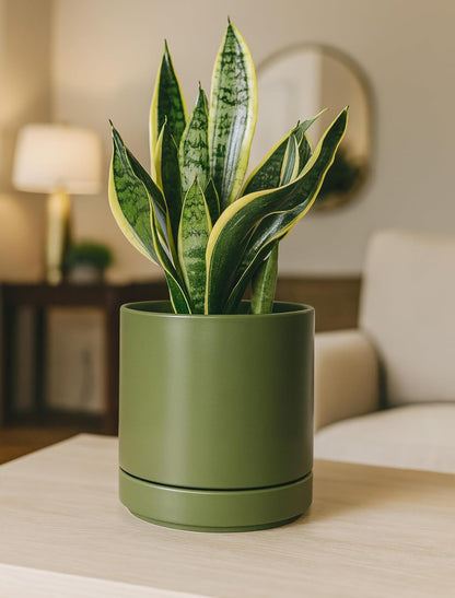 D'vine Dev Set of 2 Plants Pots, 6.5 Inch Ceramic Planter Pot for Plants with Drainage Hole and