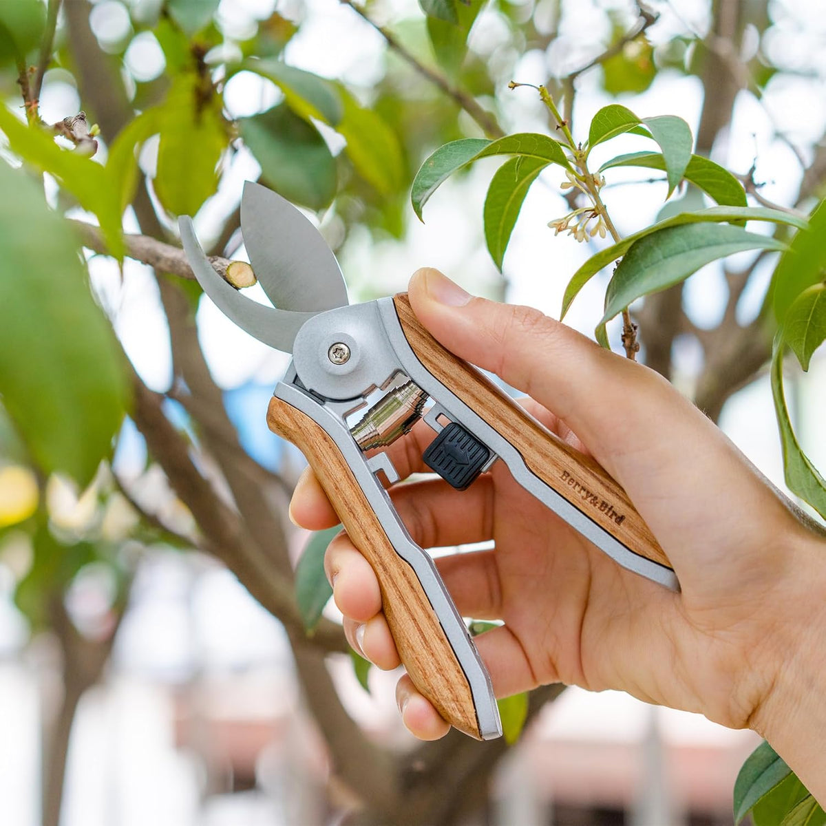 Berry&Bird Mini Pruning Shears for Gardening Curved Blades Hand Pruners with Wooden Handle Garden