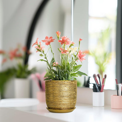 Succulent Pot 5 Inch - Ceramic Plant Pot for Indoor Flowers, Decorative Round Indoor Planter with