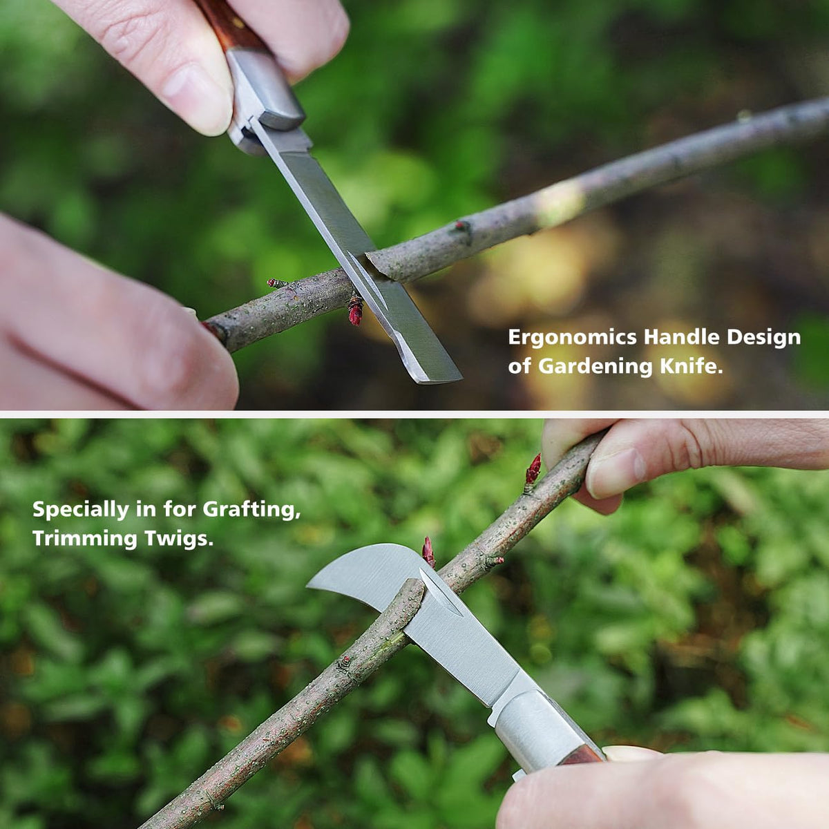FUJIWARA 3-in-1 Garden Grafting Tool, Pruning Scissors Kit, U/V/Omega-Graft Seedling for Fruit Tree